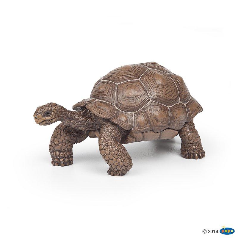 【Good Toy】法國 PAPO 50161 野生動物 加拉帕戈斯陸龜 Galapagos Tortoise 