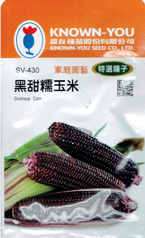 種子王國 黑甜糯玉米 Glutinous Corn(sv-430) 玉米 【蔬果種子】農友種苗特選種子 每包約10公克