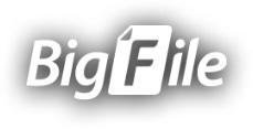 Bigfile.to官方授權高級會員升級碼【1個月480元】另有其它方案Uploadable已改成bigfile
