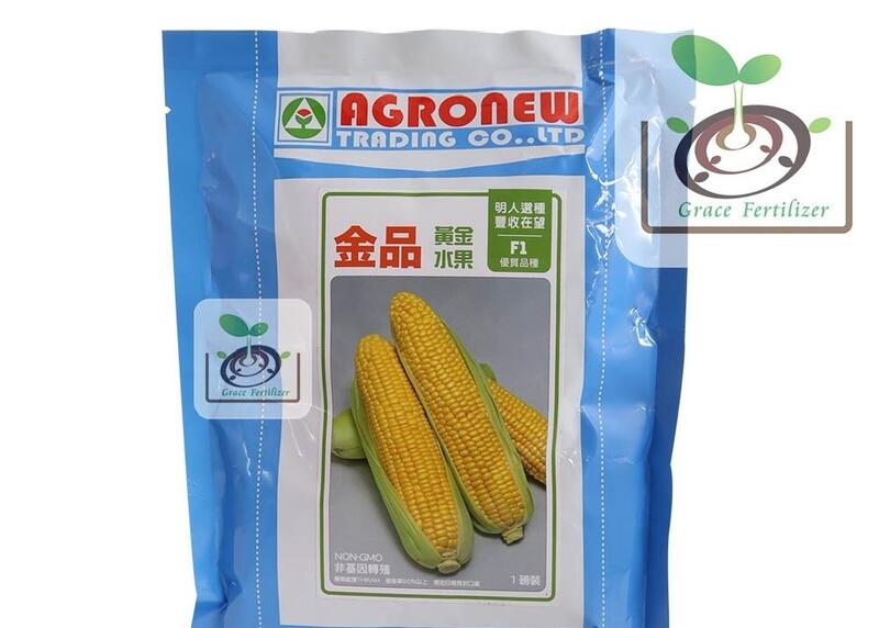 [禾康肥料] 金品黃金水果玉米種子 / 453g(1磅) 包裝