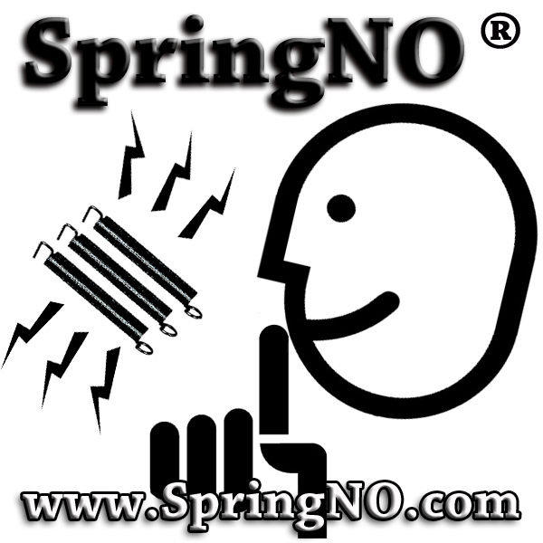 ☆唐尼樂器︵☆ SpringNO 電吉他搖座彈簧雜音消除膠條(ESP/ Fender/ Gibson 等都可以使用)