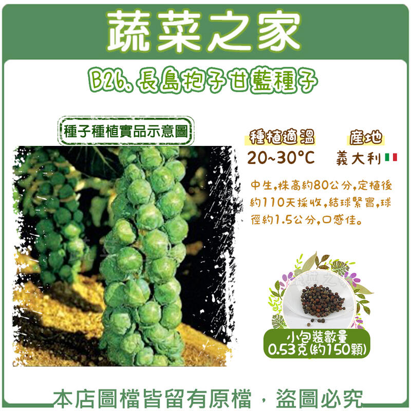 【蔬菜之家】B26.長島抱子甘藍種子0.53克(約150顆)