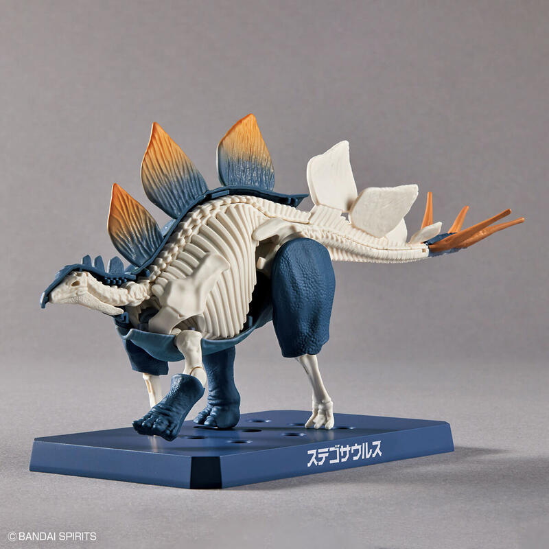 弘德模型 PLANNOSAURUS 03 劍龍 Stegosaurus 恐龍組裝模型 BANDAI | 露天市集 | 全台最大的網路購物市集