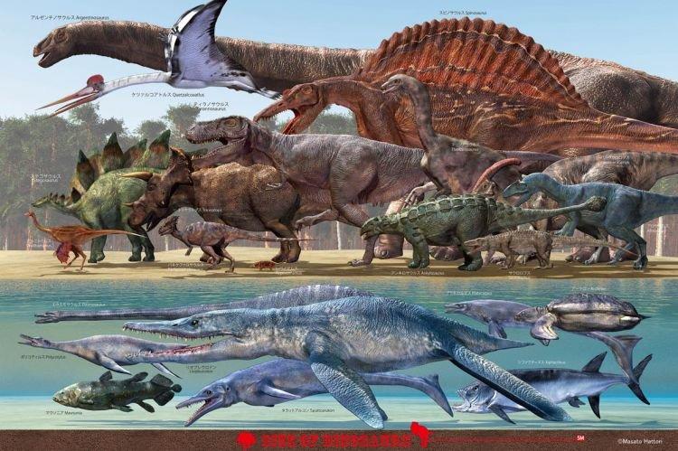 日本進口拼圖 恐龍 1000片絕版拼圖，11-488