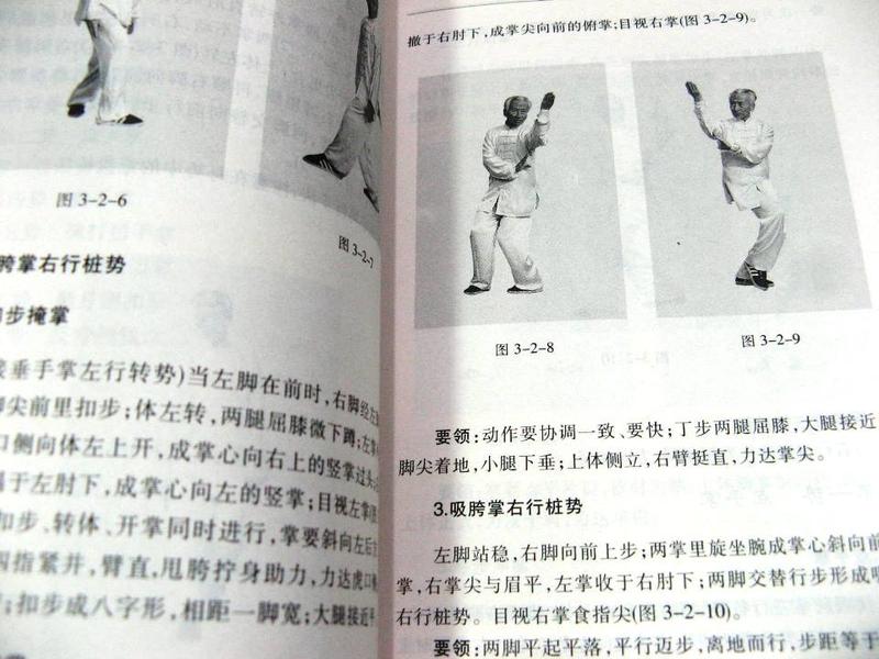 传统八卦掌 第一册 Amazon.com: 八卦转掌秘功(Chinese Edition): 9787564421588
