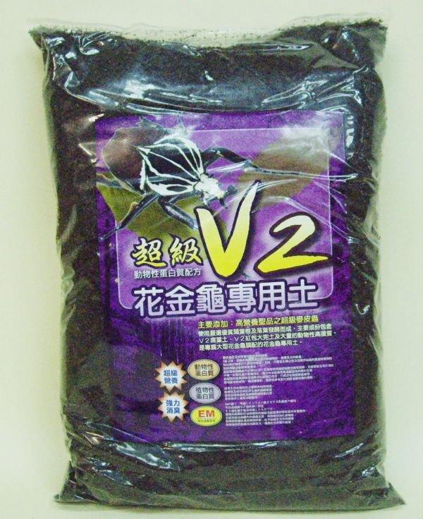 喜蟲天降甲蟲專賣店