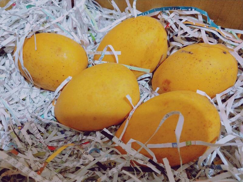 楠蜜(金蜜)芒果　特有品種，果香迷人