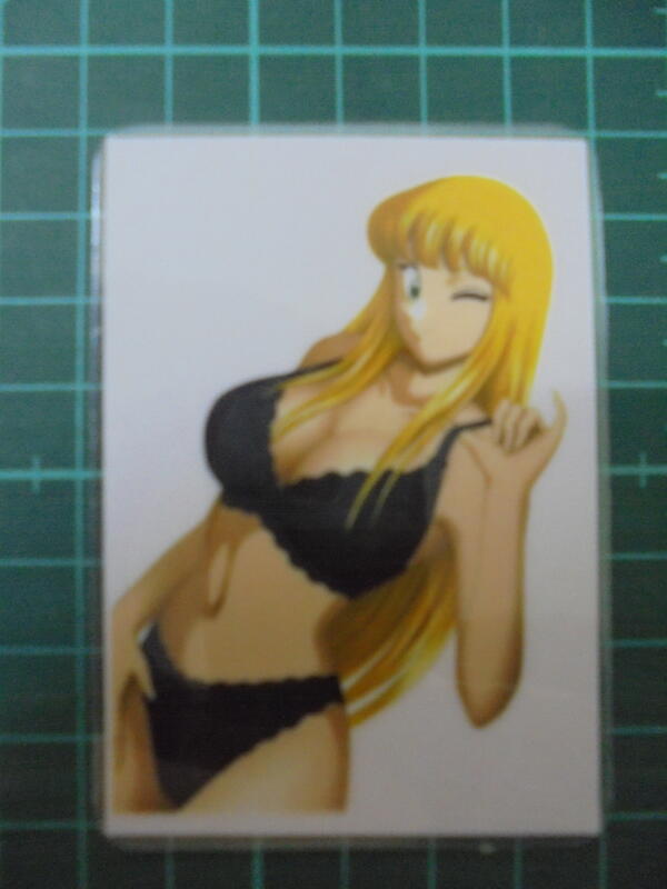 護貝咔：秋本麗子 REIKO AKIMOTO 烏龍派出所 あきもと カトリーヌ れい 319 露天市集 全台最大的網路購物市集