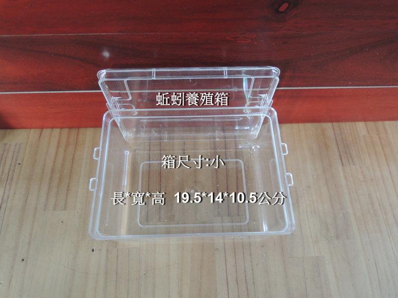 蚯蚓/蚯蚓養殖箱/小箱