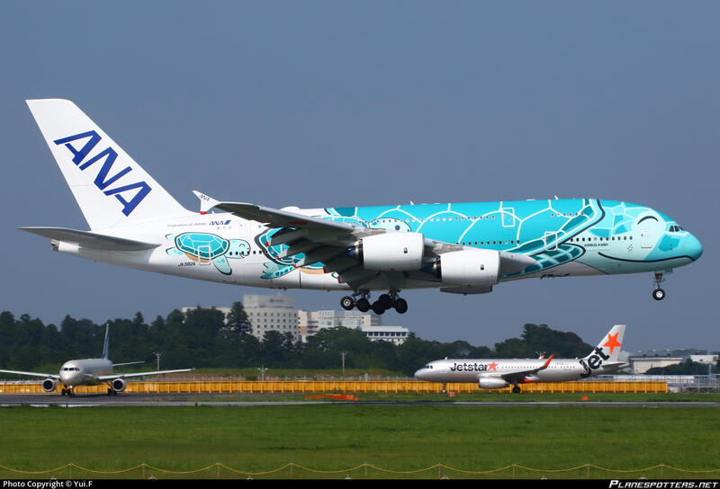 鐵鳥俱樂部JC Wings 1/500 全日空ANA A380 JA382A 飛翔海龜| 露天市集