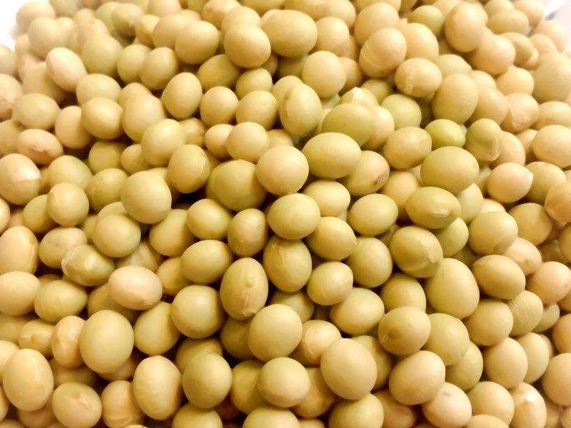 豐｝糧行 綠晶黃豆(高雄美濃9號) 有機非基因改造 無毒栽種 600公克
