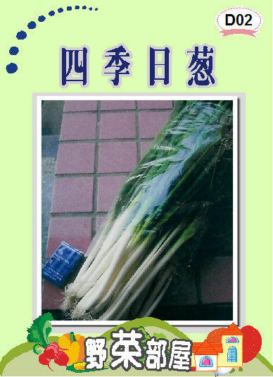 【野菜部屋~】D02 日本四季日蔥種子0.6公克 , "三星蔥" , 每包15元~
