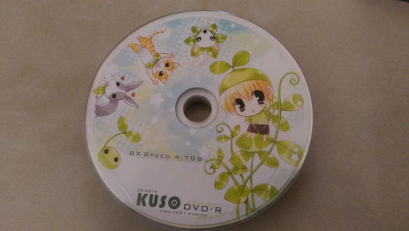 空白光碟片 DVD -R 8X 空白光碟片 燒錄片 (10片裝) 