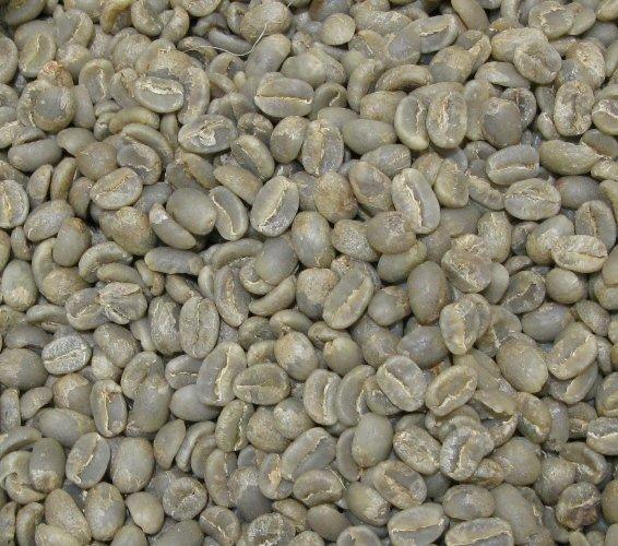 【YA咖啡─超值豆，要搶要快】肯亞 AB TOP 咖啡生豆  2015年度超新鮮  【100G 32元】