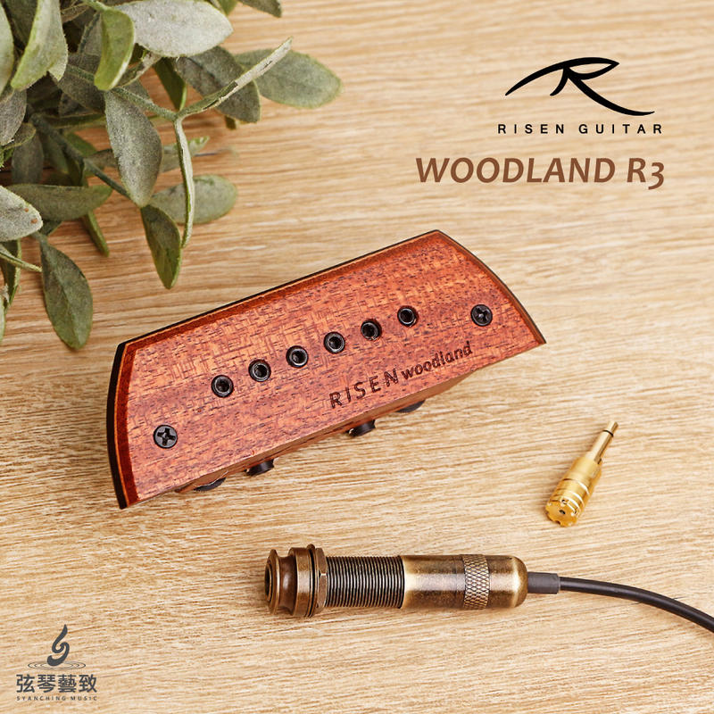 【麥克風升級改版】Risen Woodland R3 音孔式 麥克風 木吉他拾音器 雙系統 可收板聲
