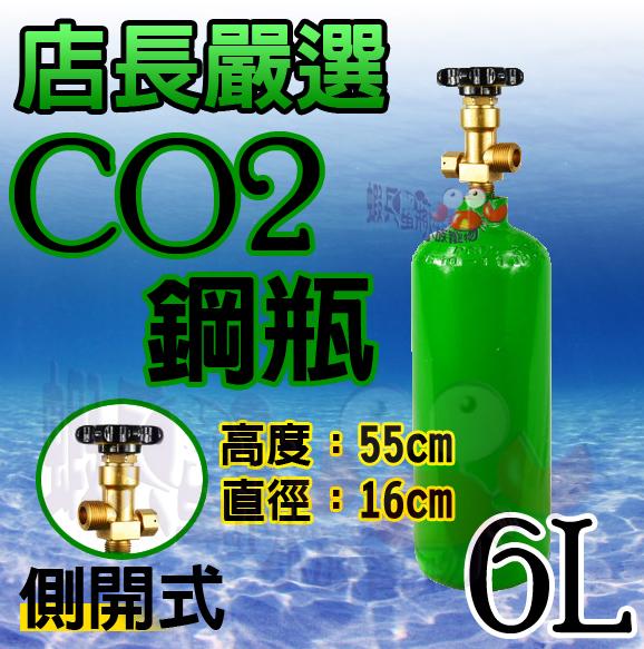 蝦兵蟹將【店長嚴選】二氧化碳 CO2 鋼瓶【6L】側開式 側路式 含CO2 陽性水草 水草種植