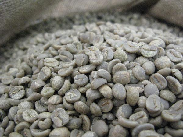 【YA咖啡─特殊黃豆】巴西 黃波本(黃波旁)  咖啡生豆『SCAA`S 80分以上』【100g  30元】