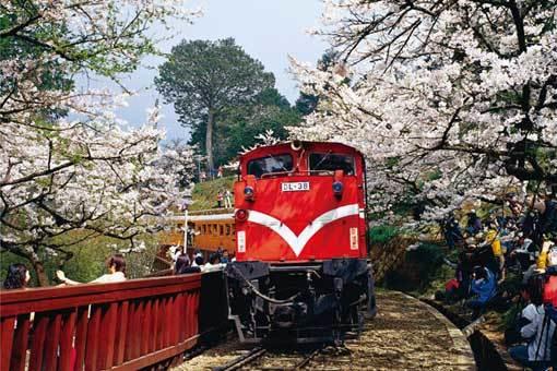 拼圖專賣店 1000-139D(台灣之美－嘉義阿里山－森林火車與吉野
