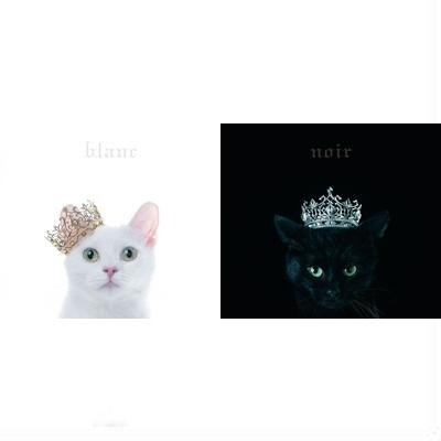 代購黑盤+白盤套裝Aimer 初回盤B BEST SELECTION blanc+noir CD+DVD