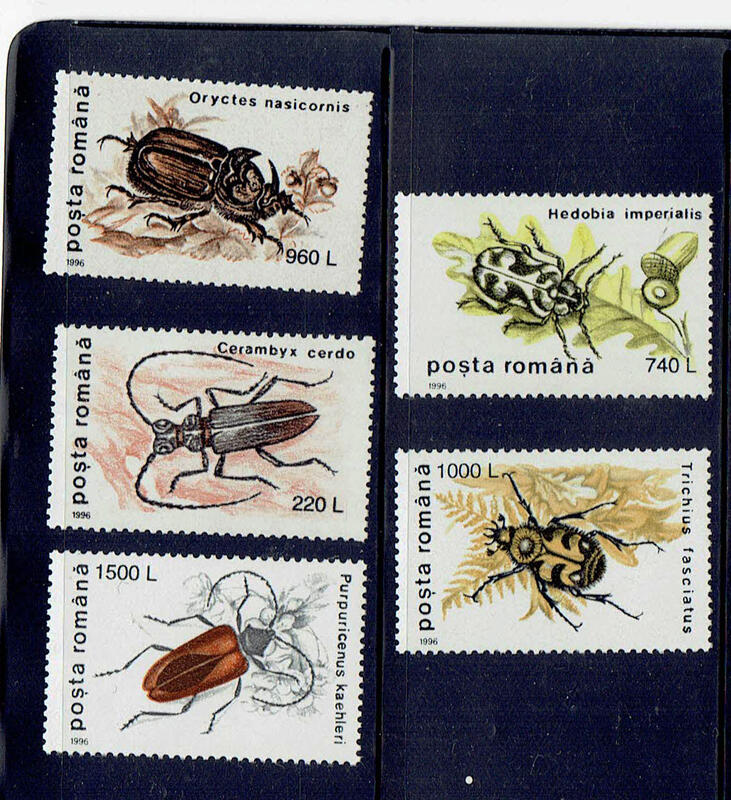 昆蟲類專題-羅馬尼亞郵票-1996-地方特色昆蟲-5全