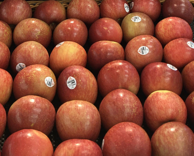 紐西蘭富士蘋果種子：家坤種子專賣店