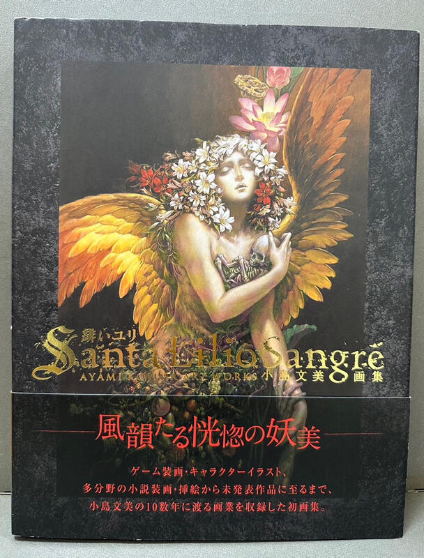 Santa Lilio Sangre緋いユリ小島文美畫集日文原文畫冊飛鳥新社 