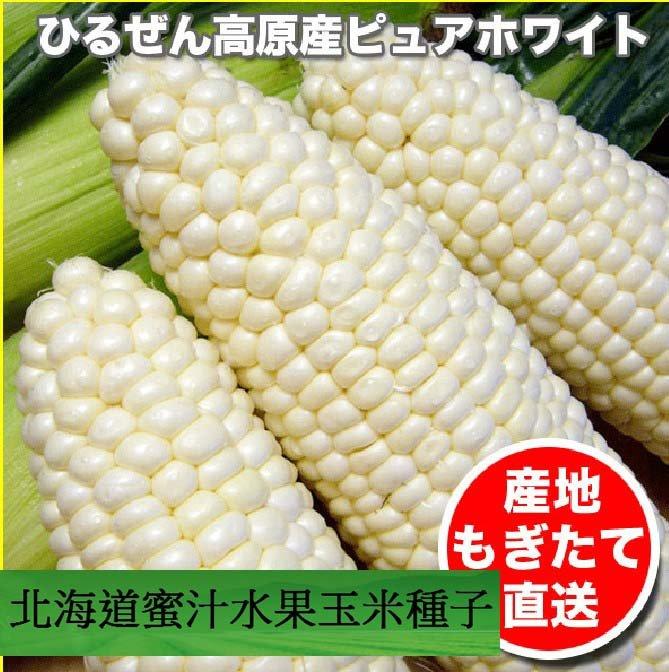 菜根園-北海道蜜汁爆醬水果玉米種子20粒裝50元