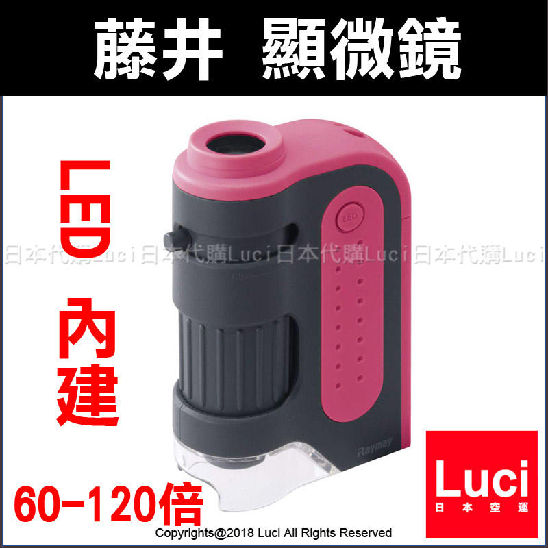 粉色 藤井 內建 LED 攜帶型 顯微鏡 UV紫外線燈 60-120倍 RXT203N 可調焦 迷你 LUCI日本代購