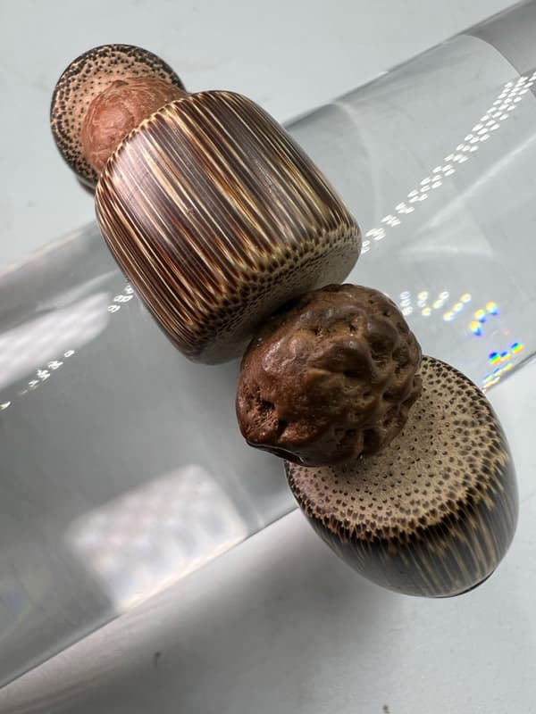 健康長壽!木桶裝菩提子手鍊,圓滿具足生命力,實物見證