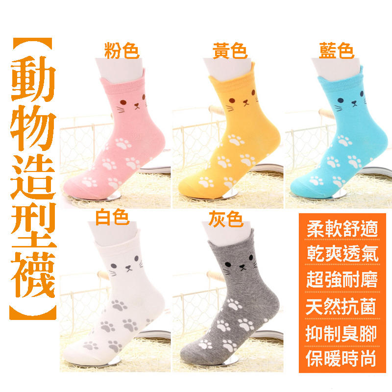 台灣現貨 五色動物造型襪 可愛卡通襪 貓咪襪 糖果色 卡通襪 大人襪 成人襪 均碼 中筒襪