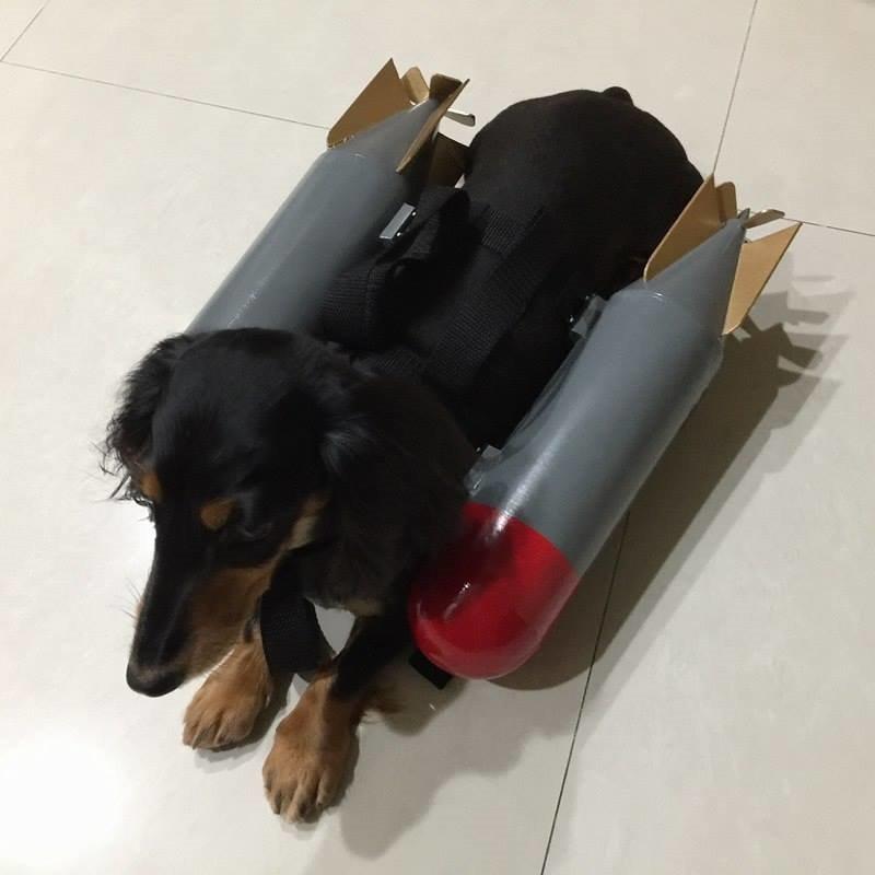 【特物魔屋】COSPLAY / 手工訂製狗狗裝備可下水魚雷 / 道具製作
