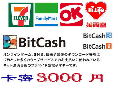 10分鐘發卡密 超商現貨日本 Bitcash Card 3000 點 日元 DMM卡 艦隊收藏