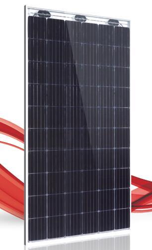 聯合再生 新日光 雙玻面發電模組310W D6L_L3A / 60 cells太陽能板 自用太陽能板