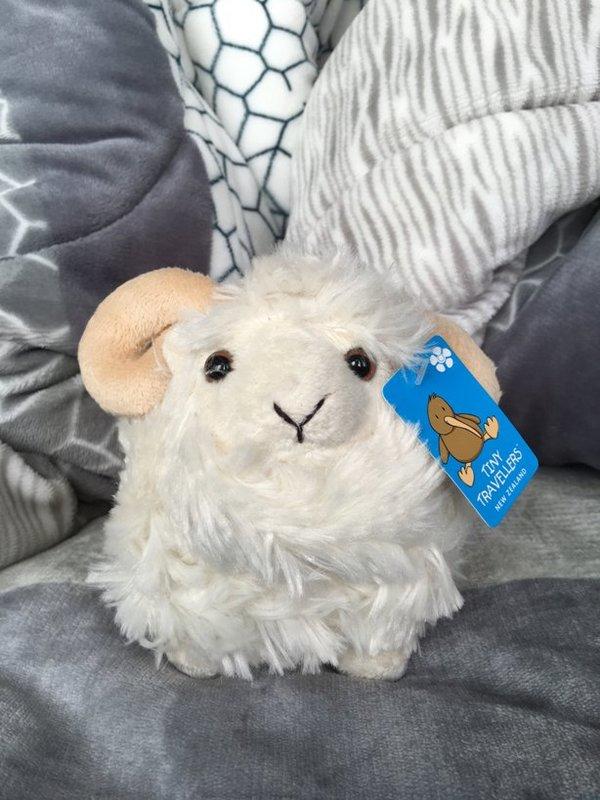 免運『台紐友好 NZ Care 』(小)慘叫的羊 羊咩咩有聲音咩咩叫 吉祥物 玩偶布偶 洋娃娃 紐西蘭進口