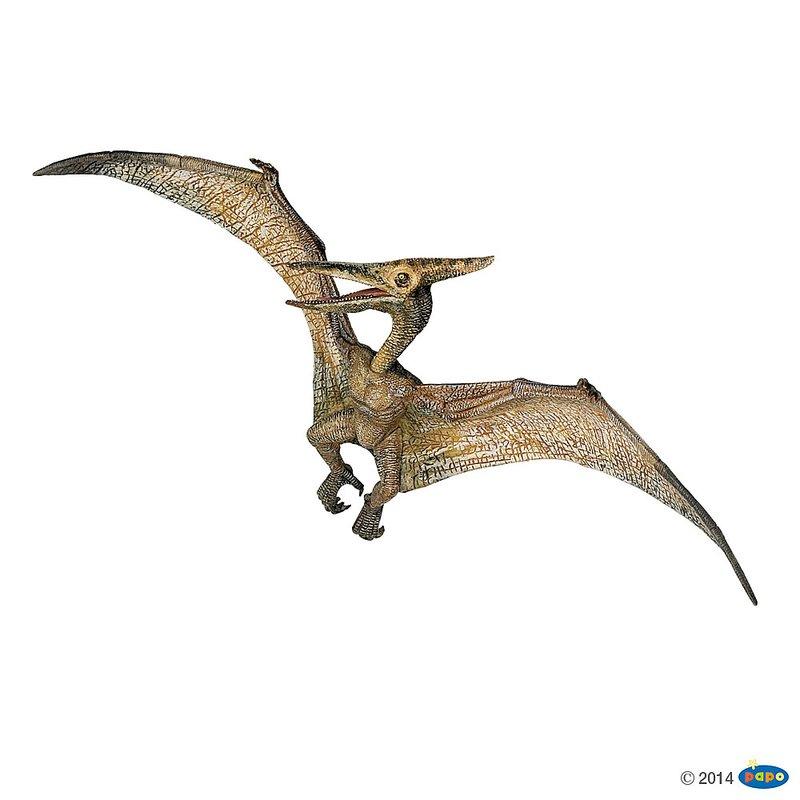 【Good Toy】法國 PAPO 55006 恐龍古生物 翼手龍 Pteranodon