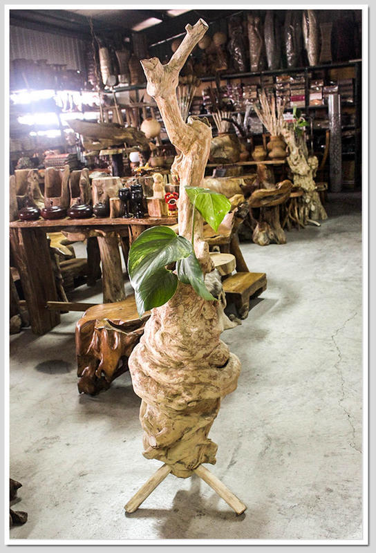 【自然屋精品】咖啡樹瘤花器 咖啡樹 樹瘤 花器 花盆 盆栽 藝術 藝品 木製 自然 天然 實木-C款、D款
