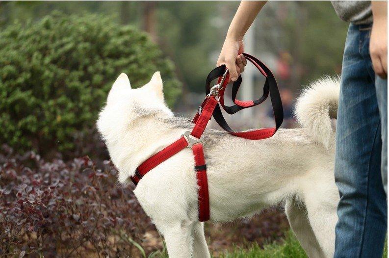 【LIFE FACE寵物生活范】寵物狗狗H型胸背帶+牽引繩套裝中型犬M號