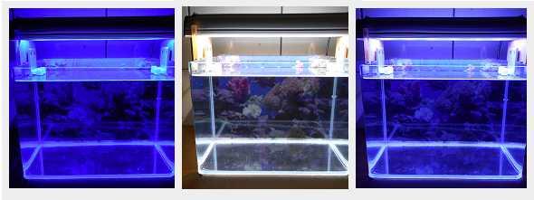 【光力能LED植物燈坊】1尺缸大功率LED泛光型高亮12*3W可分開切換藍白光水族珊瑚長條跨燈