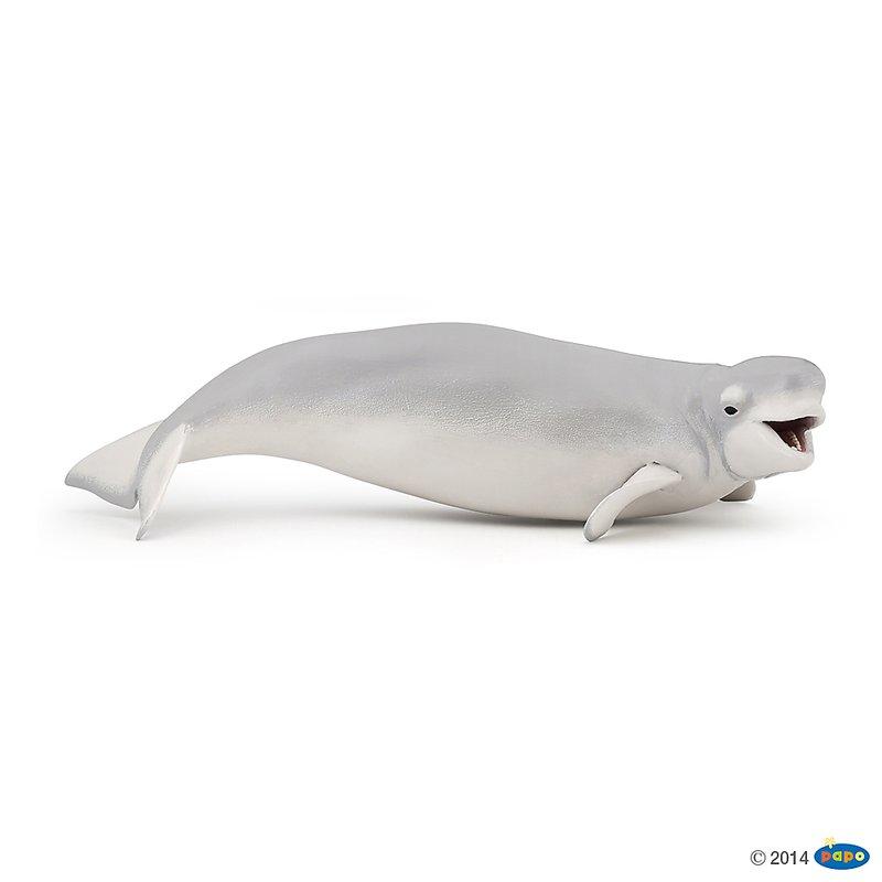 【Good Toy】法國 PAPO 56012 海洋生物 白鯨 Beluga Whale 