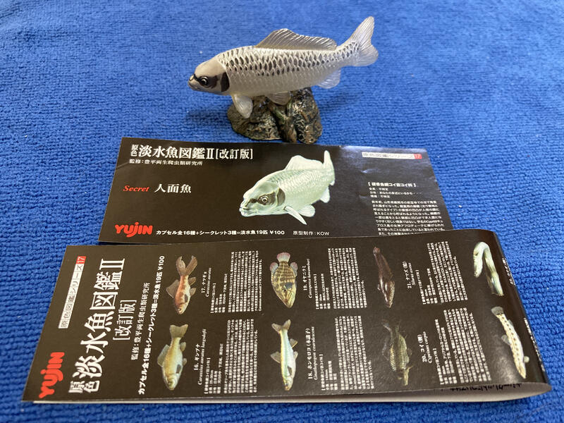 日本産原色淡水魚図鑑Ⅱー改訂版16種（全19種のうちの16種）シークレット1種含む　未開封新品　YUJIN 生き物