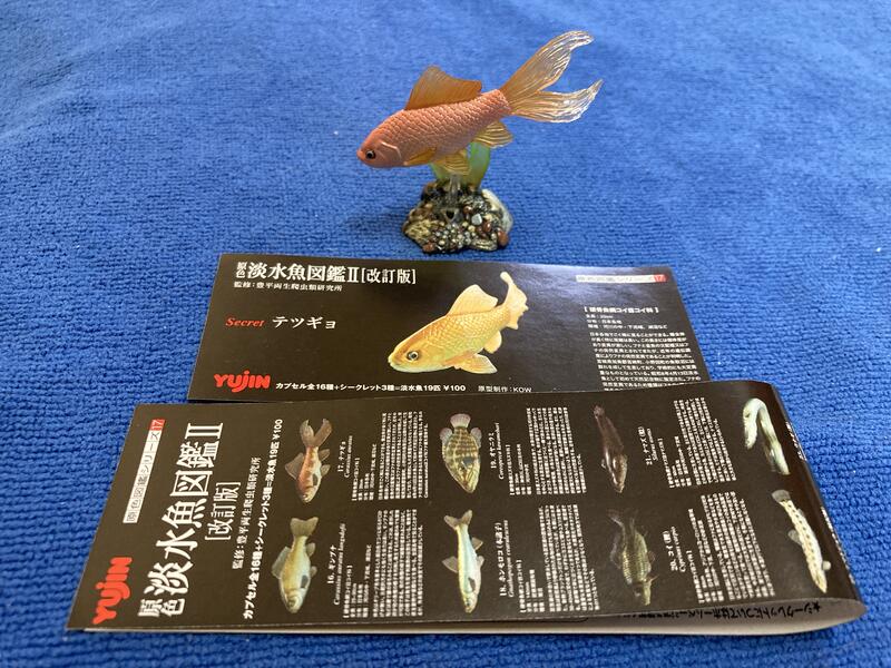 玩具DNA] Yujin 原色淡水魚圖鑑2改訂版(隱藏版人面魚+鮭魚仔魚+