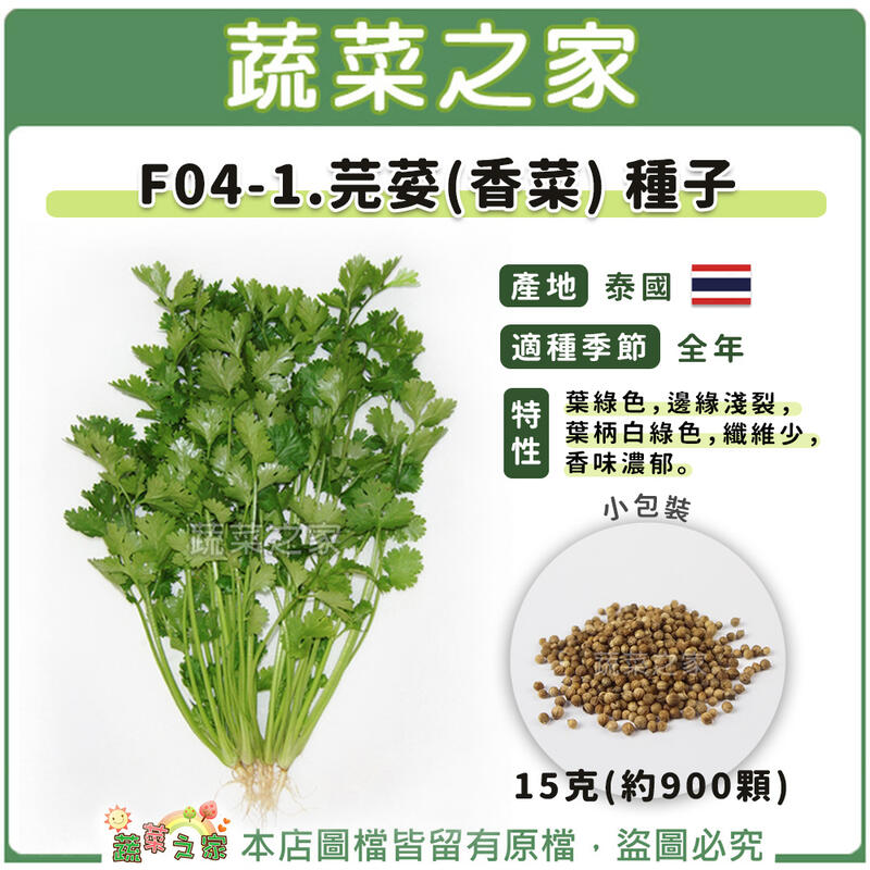 【蔬菜之家滿額免運】F04-1芫荽(香菜)種子15克(約900顆) // 葉綠色，邊緣淺裂，葉柄白綠色，纖維少，香味濃郁