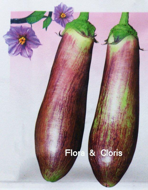Flora & Cloris 葡萄牙 進口 F1 彩茄 種子