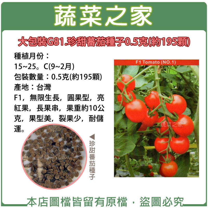 【蔬菜之家滿額免運】大包裝G81.珍甜蕃茄種子0.5克(約195顆)(F1，無限生長，圓果型，亮紅果)