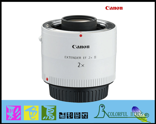 彩色鳥(鏡頭出租 相機出租)Canon Extender EF 2x III 加倍鏡 增倍鏡 最新第三代 400mm 300mm