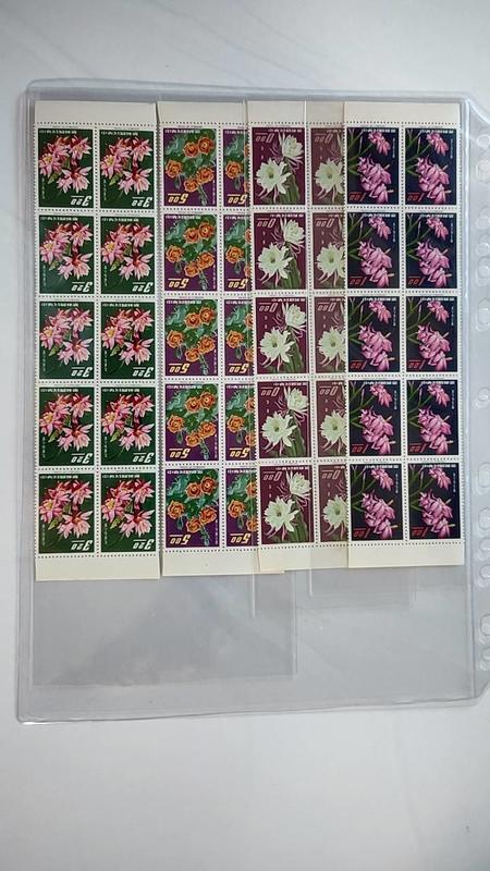 特29 花卉郵票(53年版)仙人掌花卉 四方連 上品