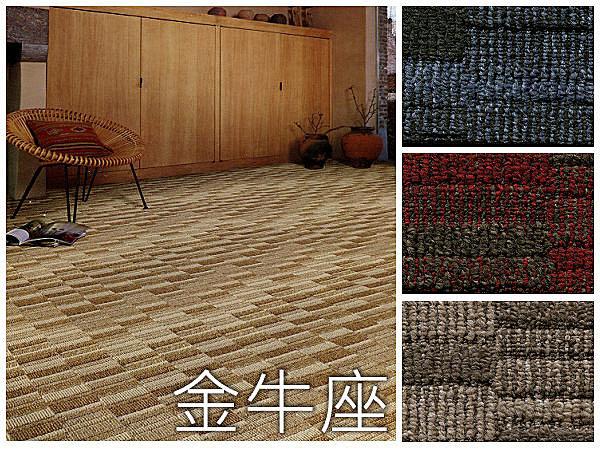 【地毯家】金牛座系列  最新幾何圖形 花色新穎 商業空間 居家自用 最新款式 特價供應