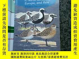 古文物shorebirds罕見of north america europe and asia露天267761 Step 