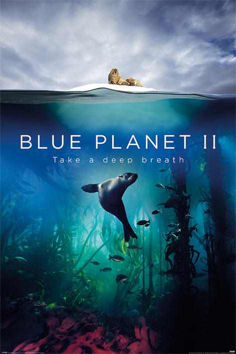 【英國進口風景海報】藍色星球2 (深呼吸) Blue Planet 2 #PP34436
