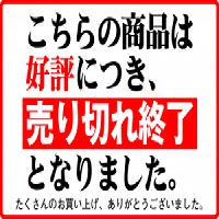 代購ZARD 15th Anniversary 初の写真集首本寫真集Le Portfolio 寫真輯